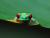 Costa_Rica_0292a