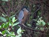 Costa_Rica_2017