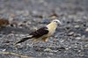 Costa_Rica_1837a