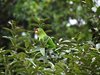 Costa_Rica_0937