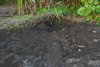 Costa_Rica_0728