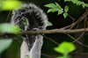 Costa_Rica_1447