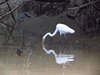 Costa_Rica_2018