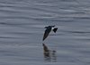 Costa_Rica_1787a