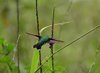Costa_Rica_1322a