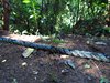 Costa_Rica_2146
