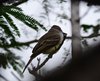 Costa_Rica_1348b
