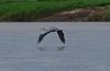 Costa_Rica_1792a