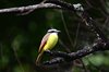 Costa_Rica_1369