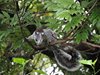 Costa_Rica_1444