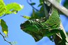 Costa_Rica_0552a