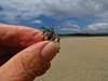 Costa_Rica_1663