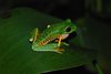 Costa_Rica_2070