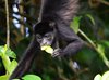 Costa_Rica_0630b