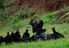 Costa_Rica_0893a