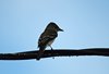 Costa_Rica_0413a