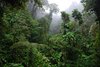 Costa_Rica_0974
