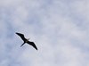 Costa_Rica_0538