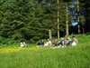 Kystruten_0156
