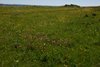 Kystruten_0122
