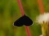 Kystruten_0261