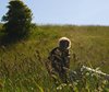 Kystruten_0056