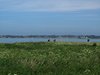 Kystruten_0268