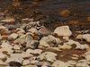Kystruten_0210