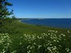 Kystruten_0113