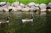 Midtsverige_0512