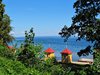 Midtsverige_0234