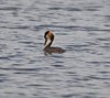 Midtsverige_0165