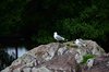 Midtsverige_0467