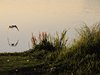 Midtsverige_0386