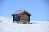 Mysuseter_0031