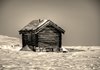 Mysuseter_0030