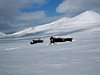 Mysuseter_0028