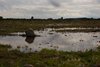 Øland_0174