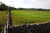 Øland_0236