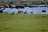 Øland_0118