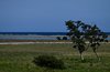 Øland_0121a