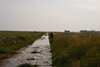 Øland_0150