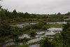 Øland_0156