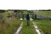 Øland_0259