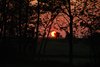 Sydfyn_0130