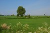 Sydfyn_0137
