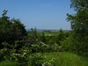 Sydfyn_0109