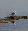Sydfyn_0144