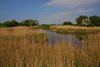Sydfyn_0096
