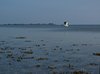 Sydfyn_0141